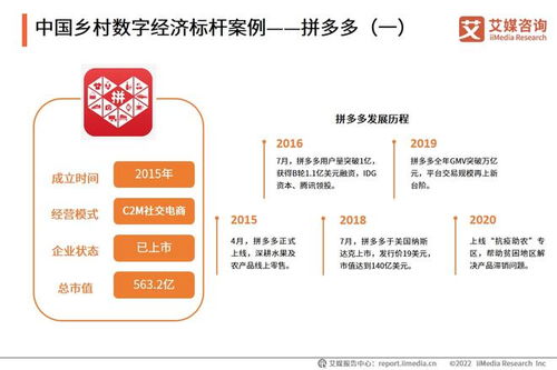 2022年中国乡村数字经济发展专题研究报告