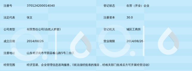 济南隆华经济贸易咨询_360百科